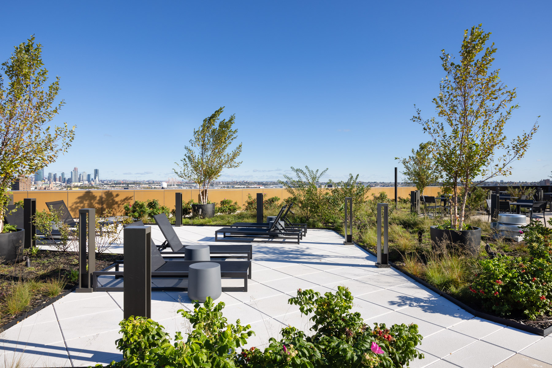 Roof deck with lounge chairs and greenery